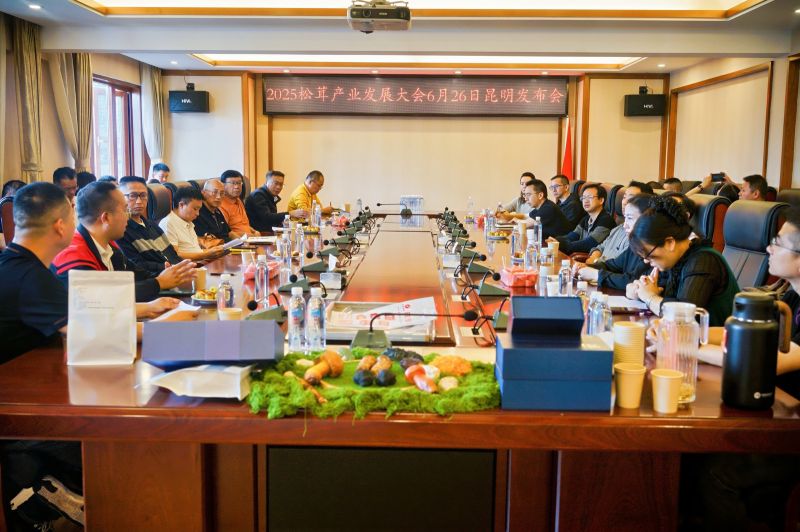 图片11
