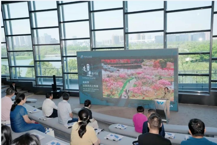 屏幕截图 2025-06-30 093509