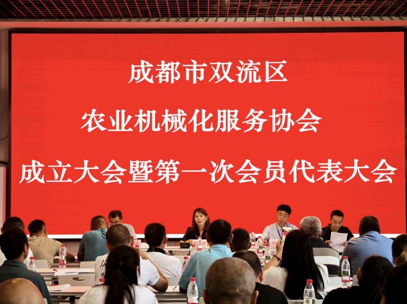 图片17