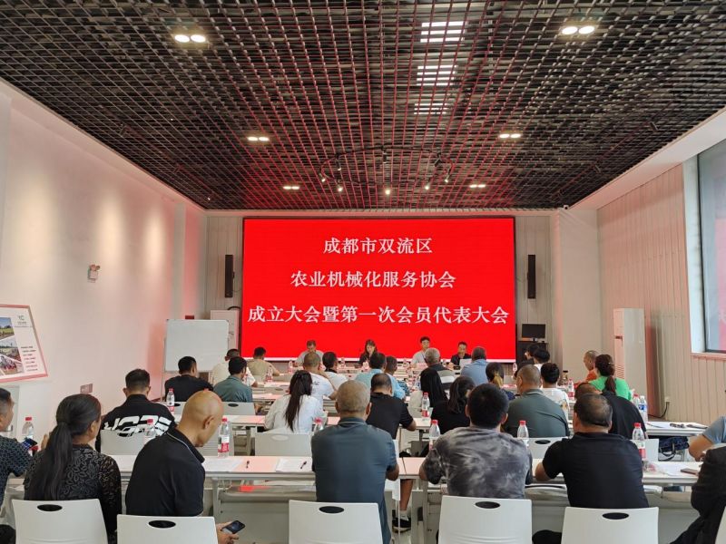 图片18
