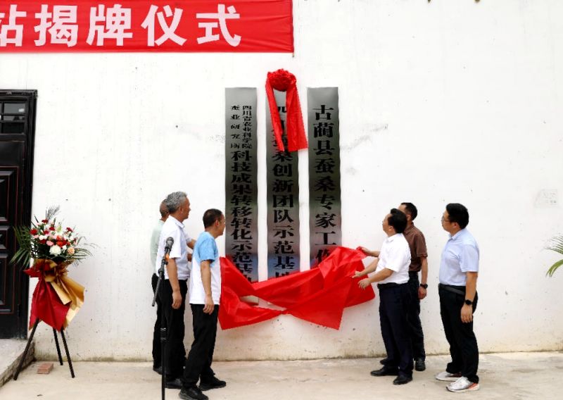 图片6
