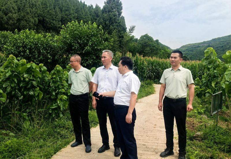 wechat_2025-07-01_141721_418