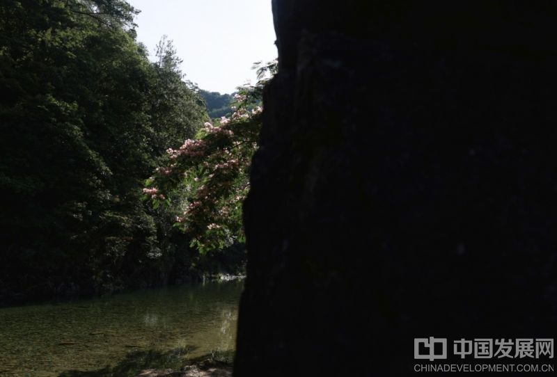 微信截图_20250707084709