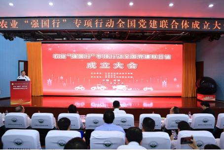 图片9