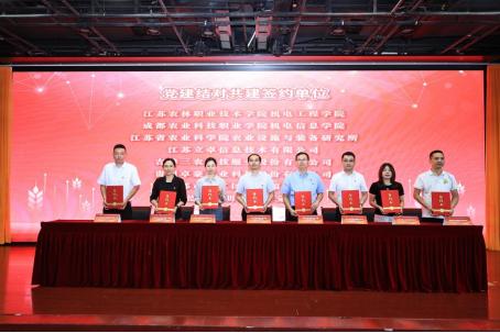 图片17