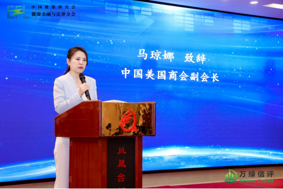 2025能源转型与可持续金融学术年会在北京召开（新闻搞草稿）(1)381