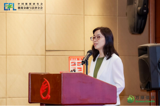 2025能源转型与可持续金融学术年会在北京召开（新闻搞草稿）(1)3519
