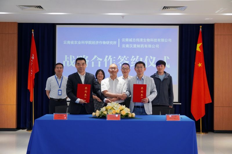 云南省农科院经济作物研究所与诚志伟清生物、诚志汉盟制药签约现场
