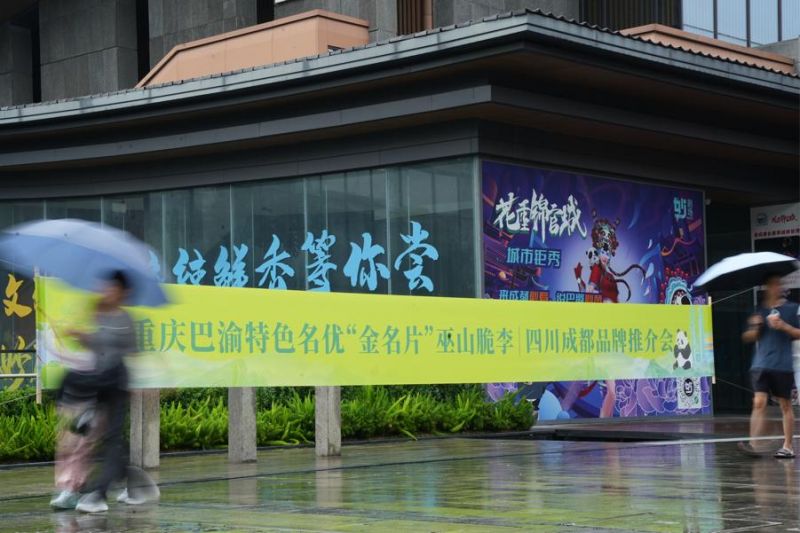 图片5