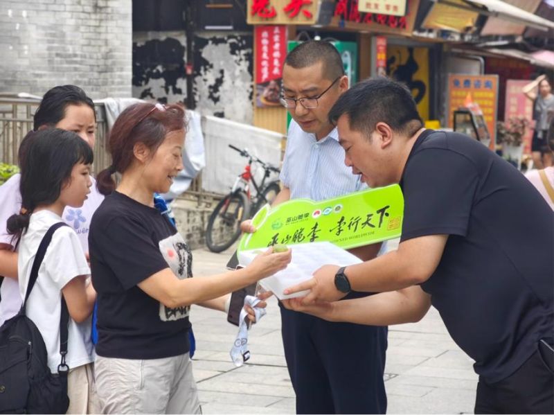 图片8