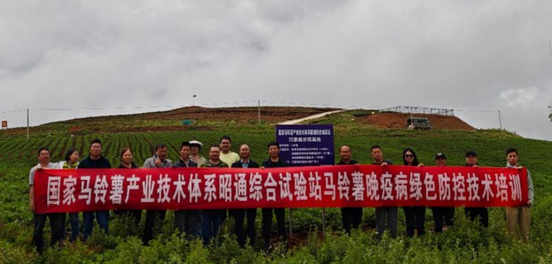 图片9