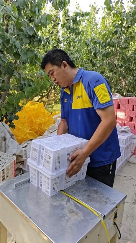 图片3