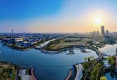 聚力青浦新城建设 政企携手共商发展大计