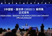 《中国智·惠世界（2025）》案例集发布 展现AI 国际合作多元成果