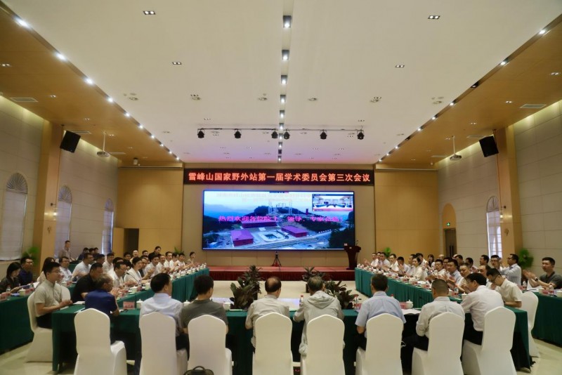 图片20