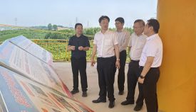 国家发展改革委副主任王昌林赴广西调研定点帮扶工作