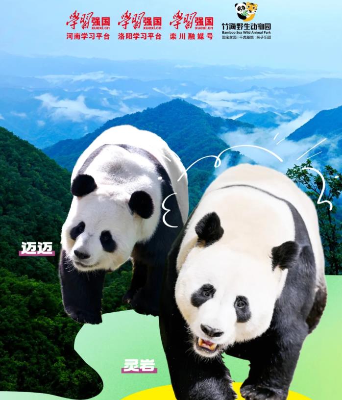 360截图20250801161121867