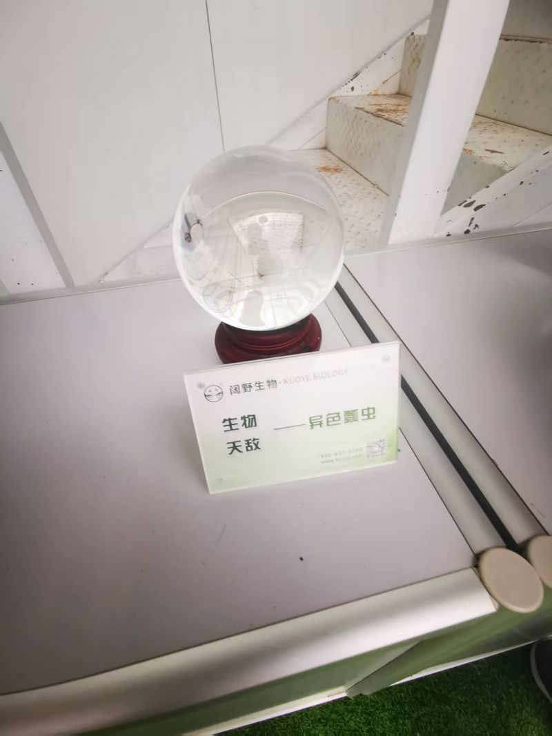 微信图片_20250801210331