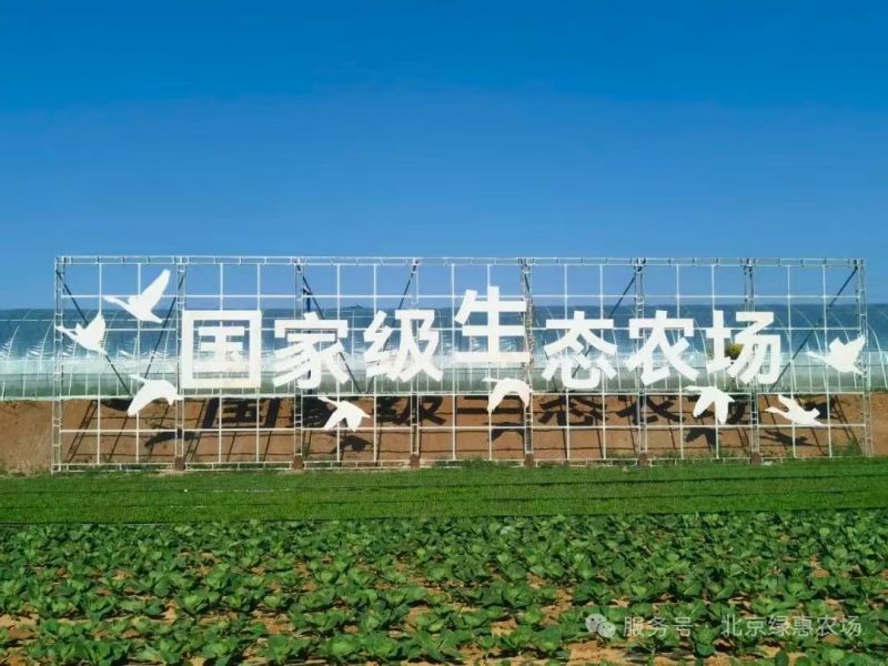 微信图片_20250801210323