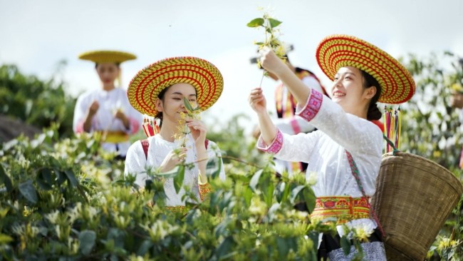 图片 2.jpg