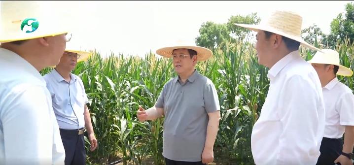 360截图20250805111455032