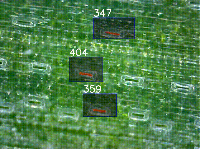 1754622633288404.png