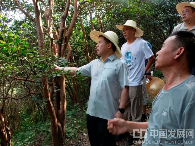微信截图_20250810182016
