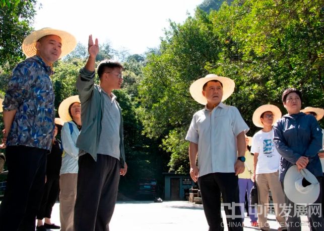 浙江武义：文旅产业发展和乡村振兴“立足资源优势、精心谋划项目”