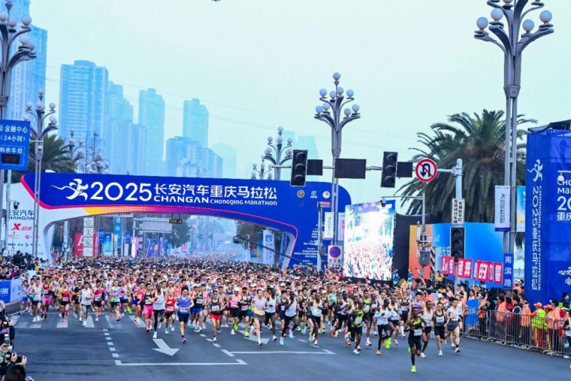 图片7