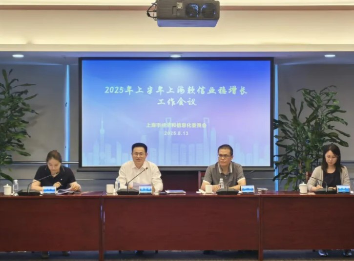 上海市经济信息化委召开2025年上半年软信业稳增长工作会议
