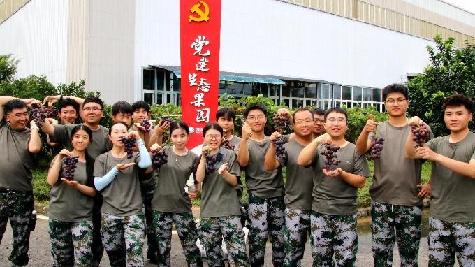 图片28