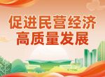 促进民营经济高质量发展