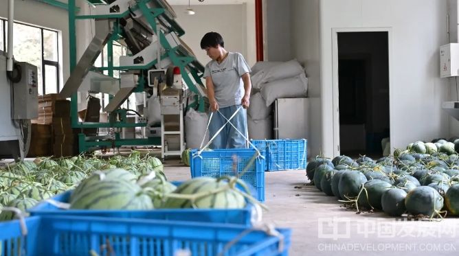 微信截图_20250817175222