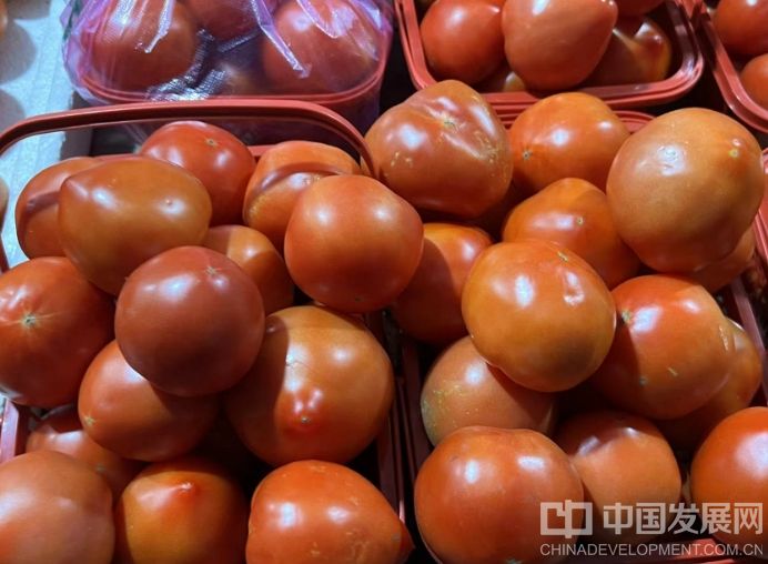 微信截图_20250817184737