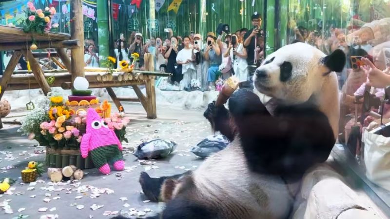 微信图片_20250819112355