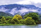 全国生态日：多地联动绘就绿色发展新图景