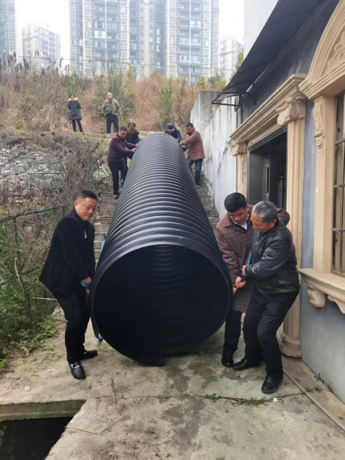 图片41