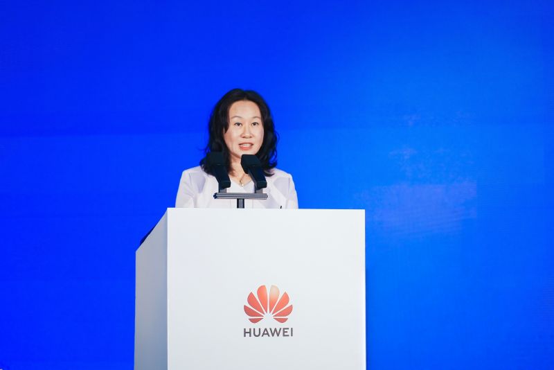 中国互联网络信息中心副主任 张晓