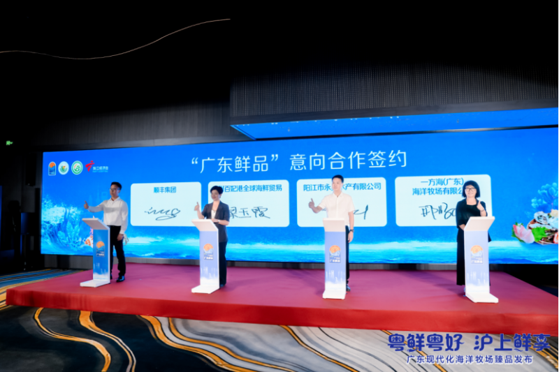 图片15