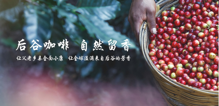 图片1(1).png