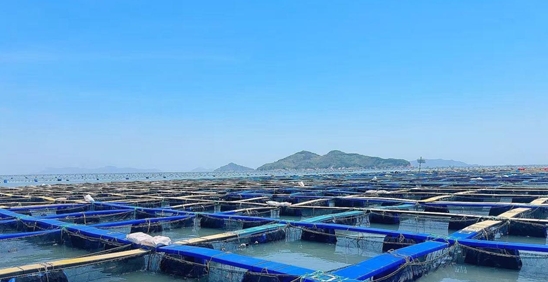 微信截图_20250829123629