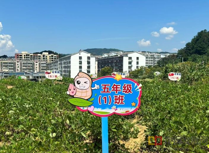 微信截图_20250901155931
