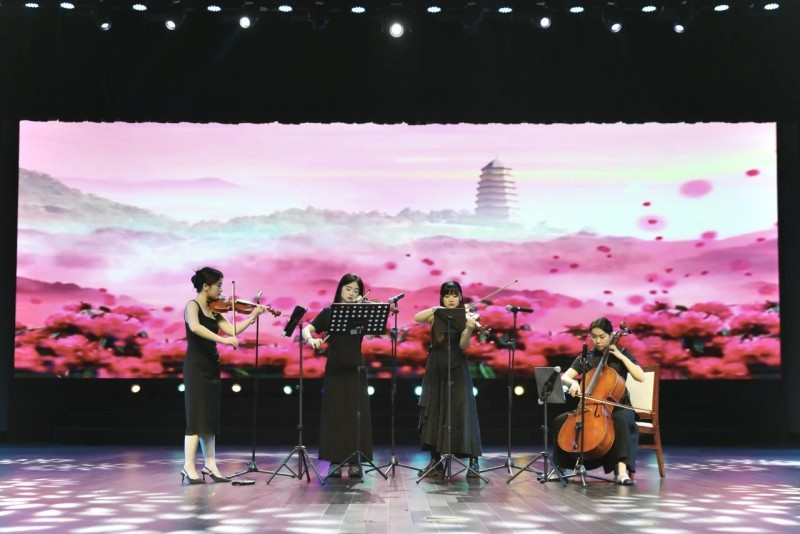 图片25