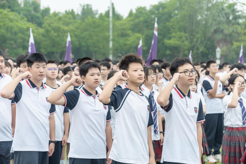 图片5
