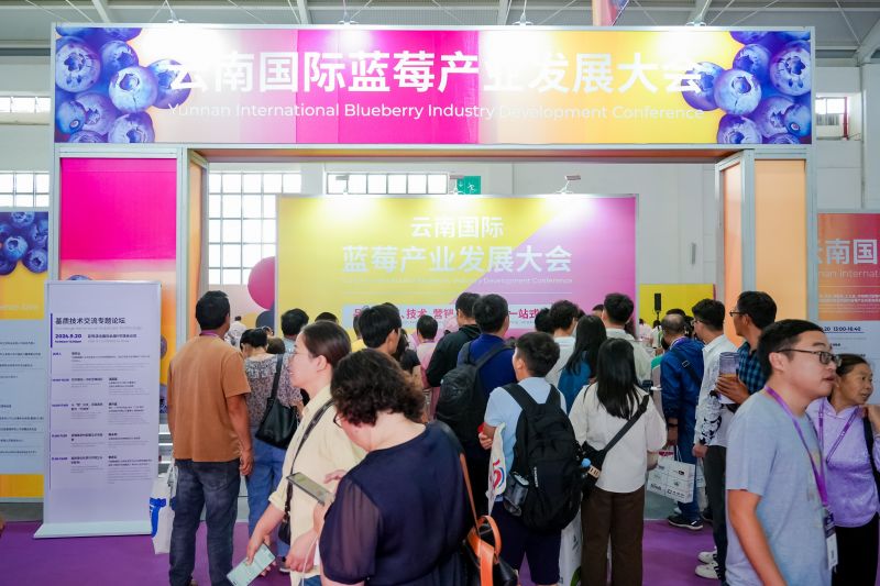 CML08240.JPG