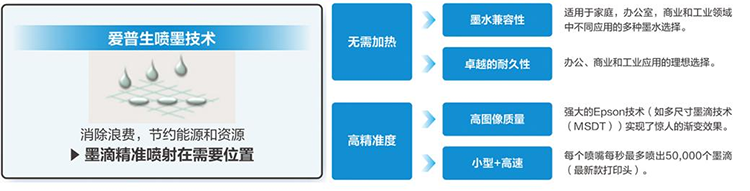图片31