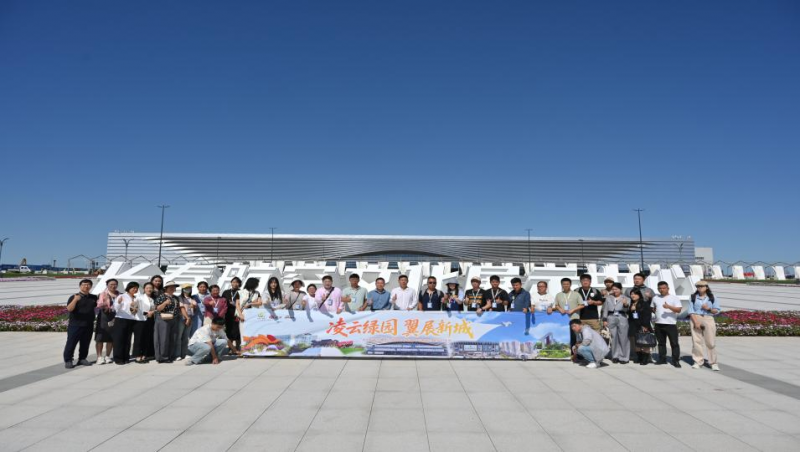 图片15