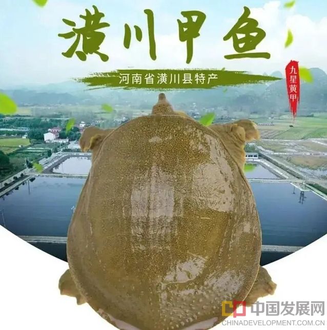 微信截图_20250911121816