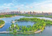 上海奉贤要奋力一跳实现更高质量发展