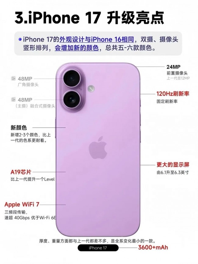 图片 6.jpg